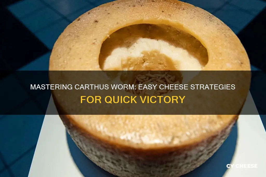 how to cheese carthus worm