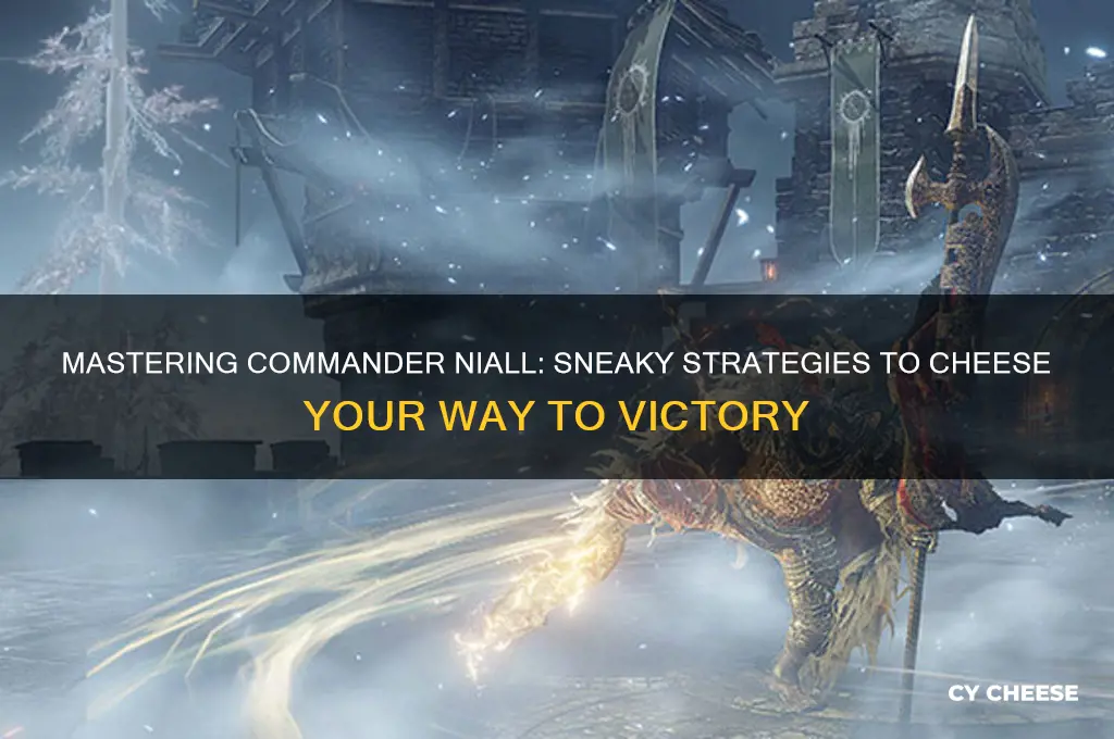 how to cheese comander niall