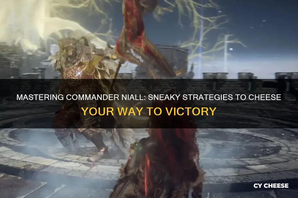 how to cheese commander niall