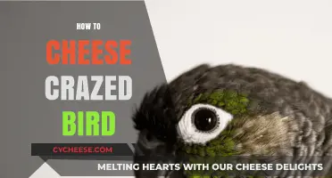 Mastering the Art of Cheesing Crazed Birds: Tips and Tricks