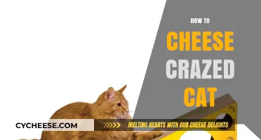 Mastering the Art of Cheesing a Crazed Cat: Tips and Tricks