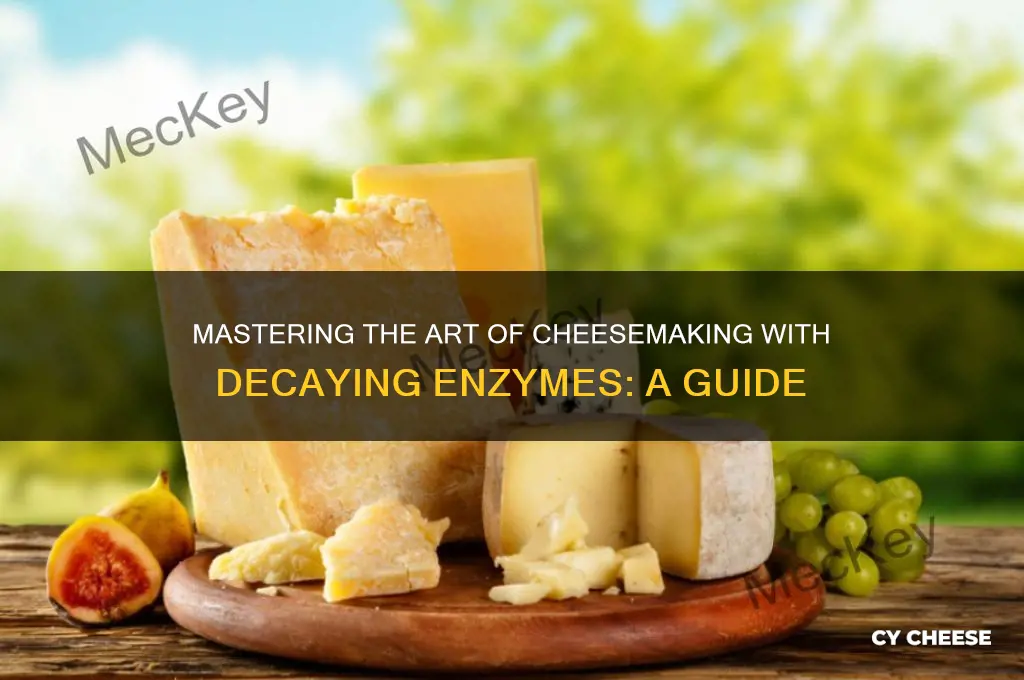 how to cheese decaying enzymes