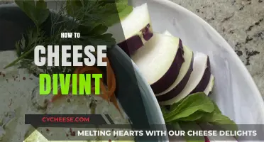Mastering the Art of Cheesing Divint: Tips and Tricks Revealed