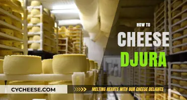 Mastering Djura: Sneaky Strategies to Cheese Your Way to Victory