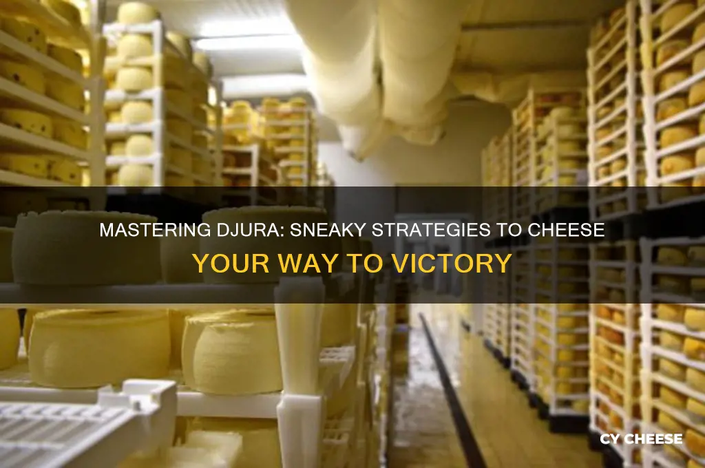 how to cheese djura