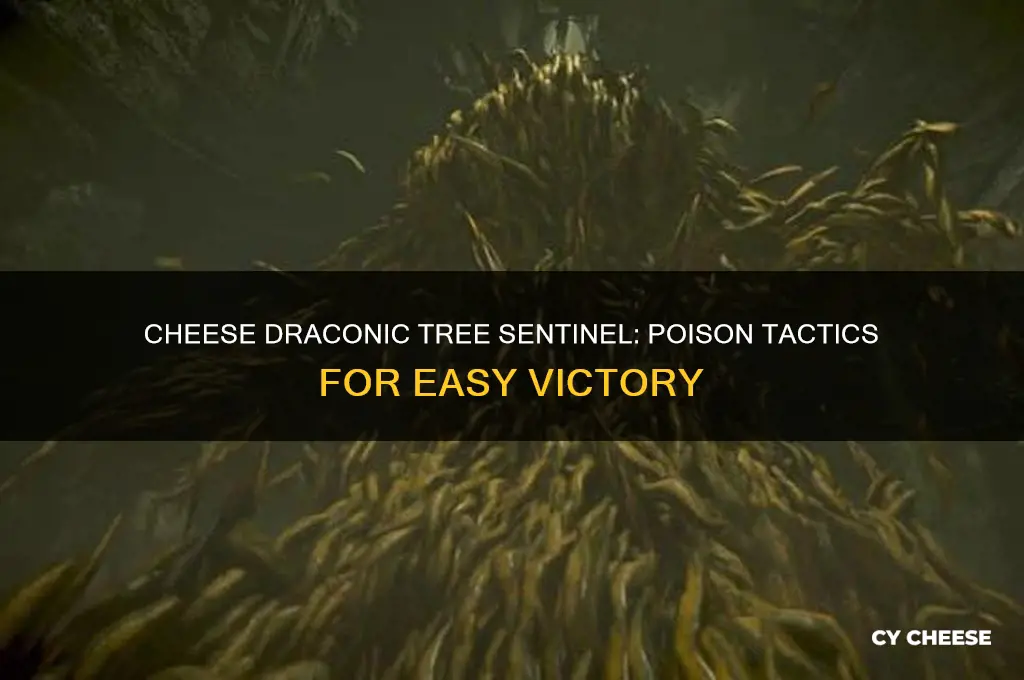 how to cheese draconic tree sentinel with poison