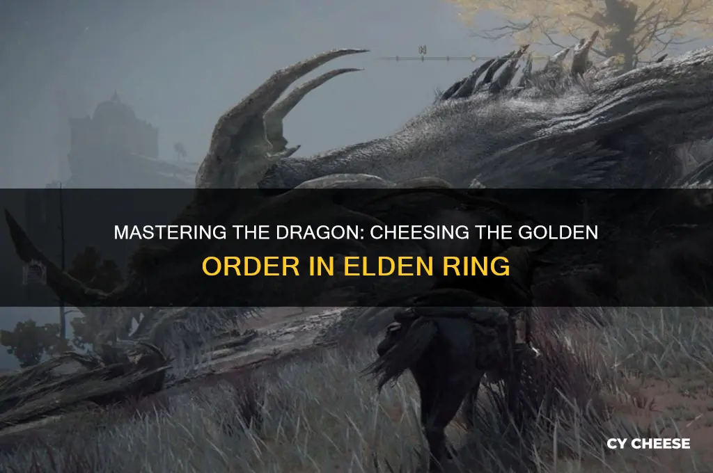 how to cheese dragon of the golden order