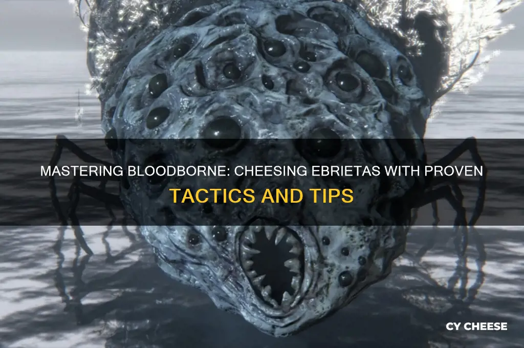 how to cheese ebrietas