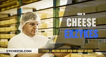 Mastering Ekzykes: Sneaky Strategies to Cheese Your Way to Victory