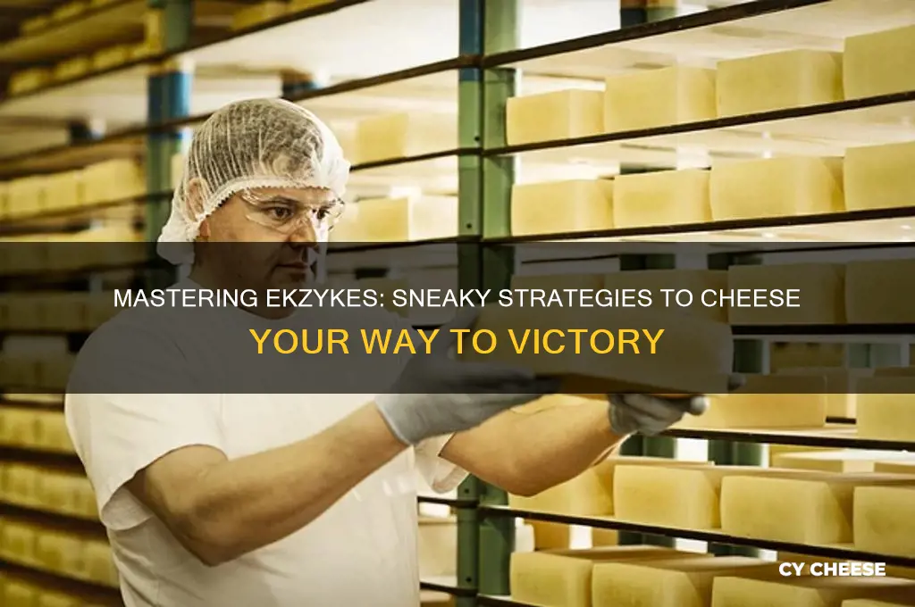 how to cheese ekzykes