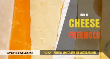 Mastering Freehold: Clever Strategies to Cheese Your Way to Victory