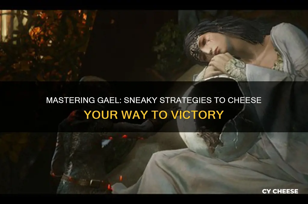 how to cheese gael