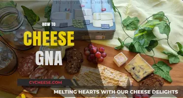 Mastering the Art of Cheesing Gna: Tips and Tricks