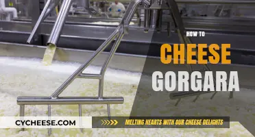 Mastering Gorgara Cheesemaking: Simple Steps for Perfect Homemade Cheese