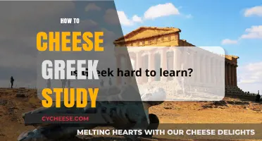 Mastering Greek Studies: Clever Shortcuts to Ace Your Exams Effortlessly