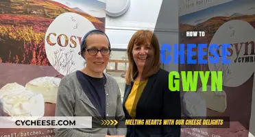 Mastering the Art of Cheesing Gwyn: Tips and Tricks for Victory