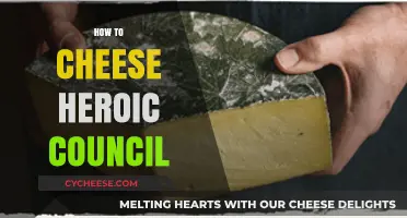 Mastering Heroic Council: Cheesy Strategies for Quick and Easy Wins