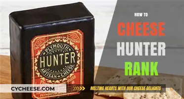 Mastering Monster Hunter: Quick Tips to Cheese Hunter Rank