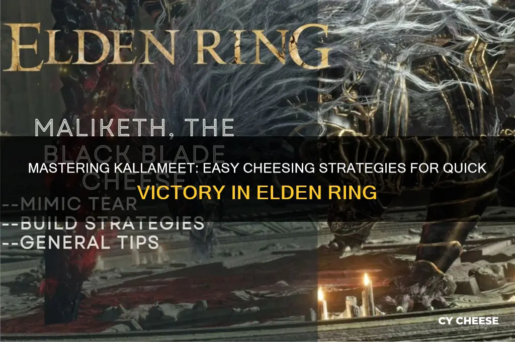 how to cheese kallameet