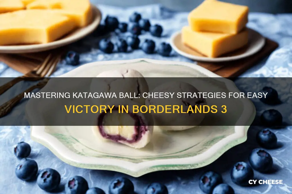 how to cheese katagawa ball