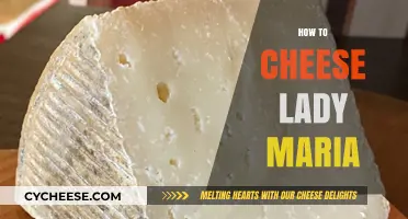 Mastering Lady Maria: Cheesing Strategies for Bloodborne Victory