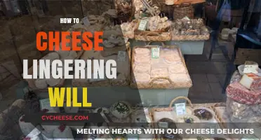 Mastering Lingering Will: Easy Cheese Strategies for Quick Victory in Kingdom Hearts