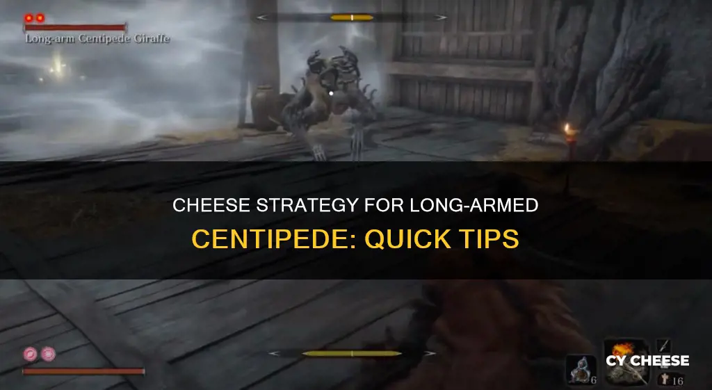 how to cheese long arm centipede