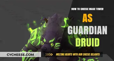 Mastering Mage Tower: Guardian Druid Cheese Strategy Guide