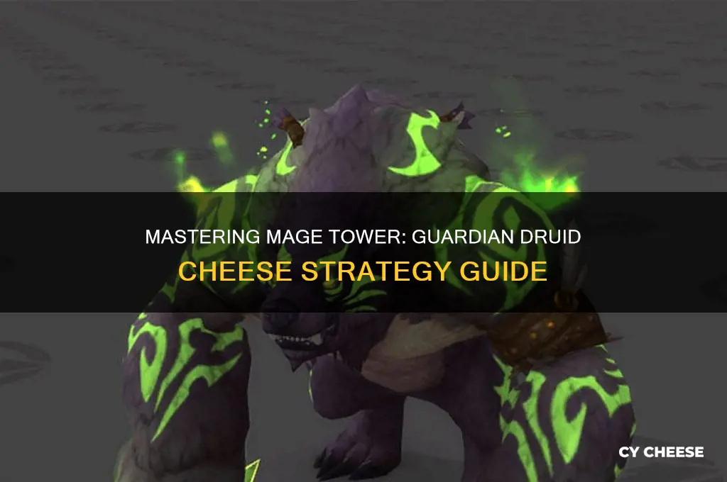 how to cheese mage tower as guardian druid