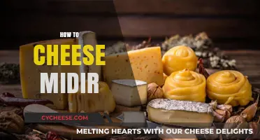 Mastering Midir: Easy Cheese Strategies for Defeating the Dragon