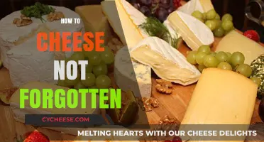 Mastering the Art of Preserving Cheese: Tips to Keep It Fresh and Unforgettable