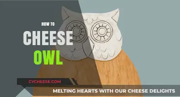 Mastering the Art of Cheesing Owl: Tips and Tricks