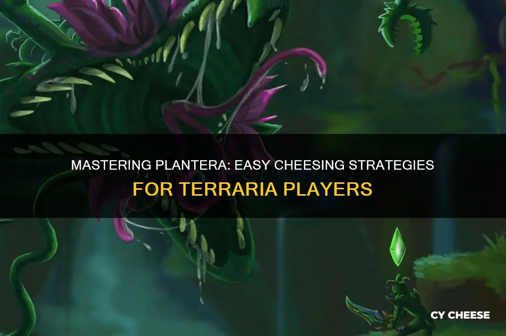 how to cheese plantera