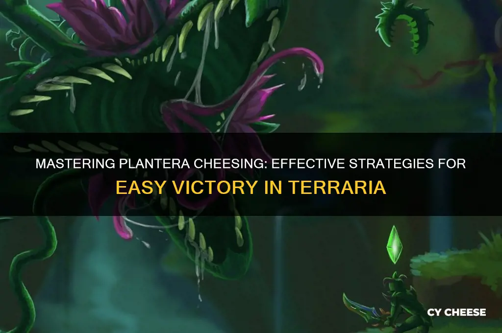 how to cheese planteras