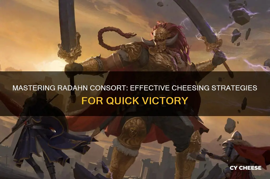 how to cheese radahn consort
