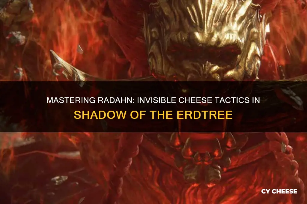 how to cheese radahn shadow of the erdtree invisible