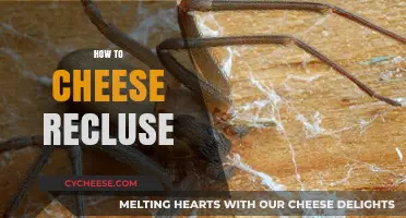 Mastering the Art of Defeating Recluses: Effective Cheesing Strategies