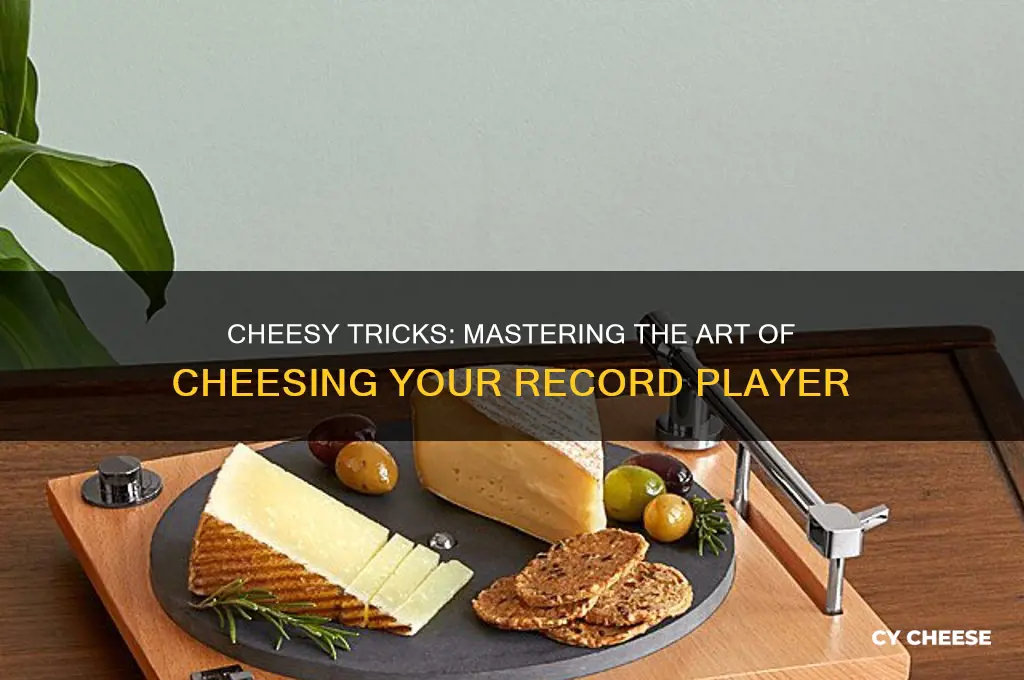 how to cheese record player
