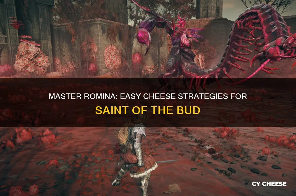 how to cheese romina saint of the bud