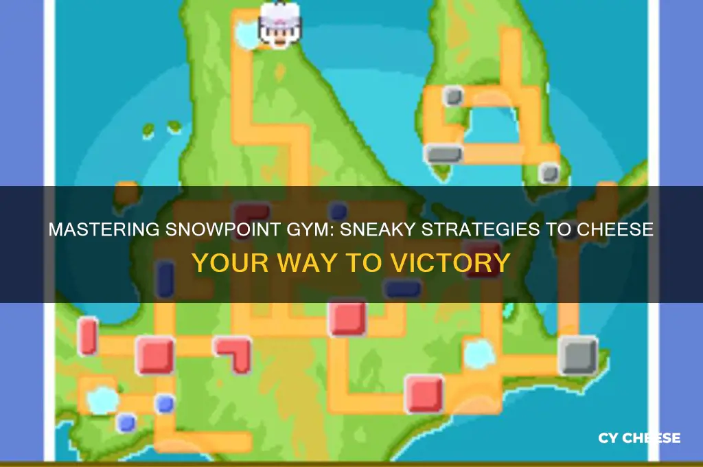 how to cheese snowpoint gym