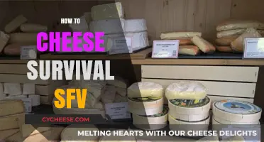 Mastering Survival SFV: Cheesy Strategies for Easy Wins