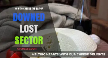 Mastering the Bay of Drowned Lost Sector: Easy Cheese Strategies