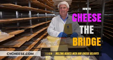 Mastering the Bridge: Sneaky Strategies to Cheese Your Way to Victory