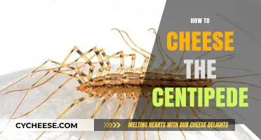 Mastering the Centipede: Sneaky Strategies to Cheese Your Way to Victory