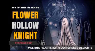 Mastering Hollow Knight: Cheesing the Delicate Flower Boss Fight