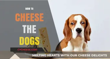 Mastering the Art of Cheesing Dogs: Quick Tips and Tricks
