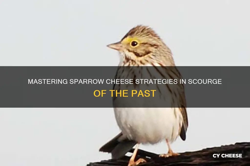 how to cheese the scourge of the past sparrow part