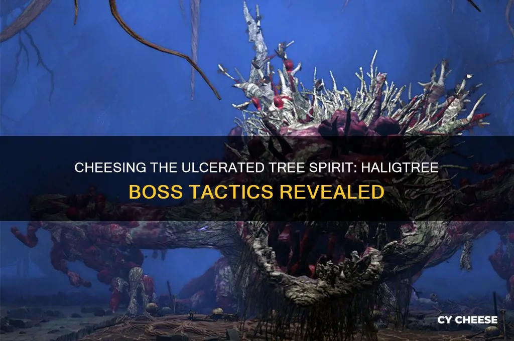 how to cheese the ulcerated tree spirit in the haligtree