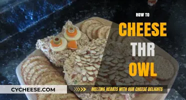 Mastering the Art of Cheesing the Owl: Tips and Tricks