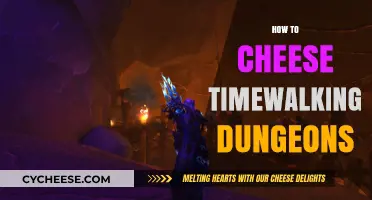 Mastering Timewalking Dungeons: Efficient Strategies for Quick Clears and Rewards
